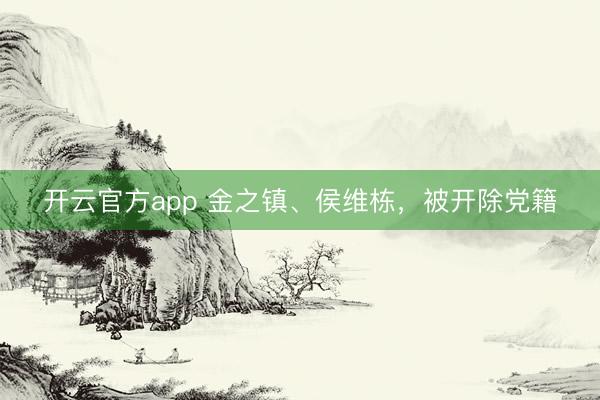 开云官方app 金之镇、侯维栋，被开除党籍