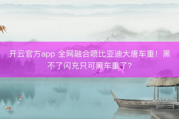 开云官方app 全网融合喷比亚迪大唐车重！黑不了闪充只可黑车重了？